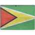 Guyana Flag Distressed Surface Pro 9 Skin